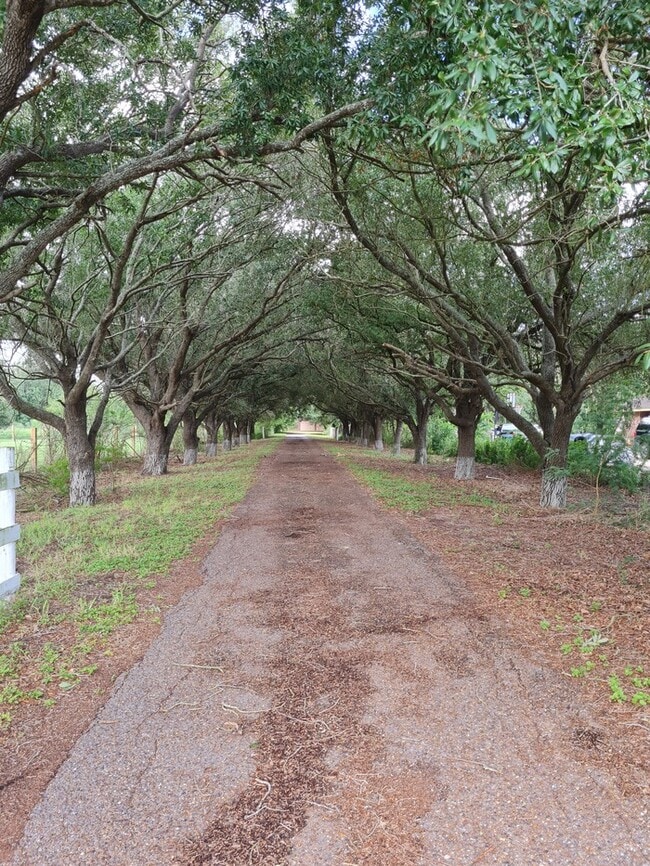 21796 Stuart Place Rd in Harlingen, TX - Building Photo - Building Photo