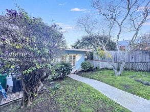 537 Madison St in Albany, CA - Building Photo - Building Photo