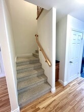 67 Springdale St in St John's, NL - Building Photo - Building Photo