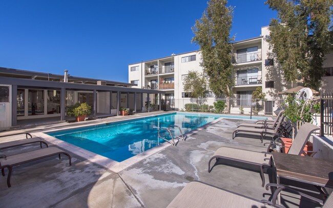 Tarzana Springs photo'