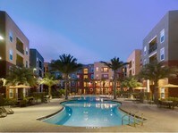 pOOL - Marquee Orlando Apartments in Orlando, Florida