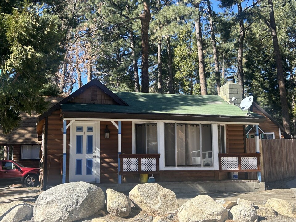 25055 Marion Ridge Dr in Idyllwild, CA - Building Photo