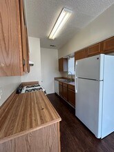 1113 York Castle Dr in Pflugerville, TX - Building Photo - Building Photo