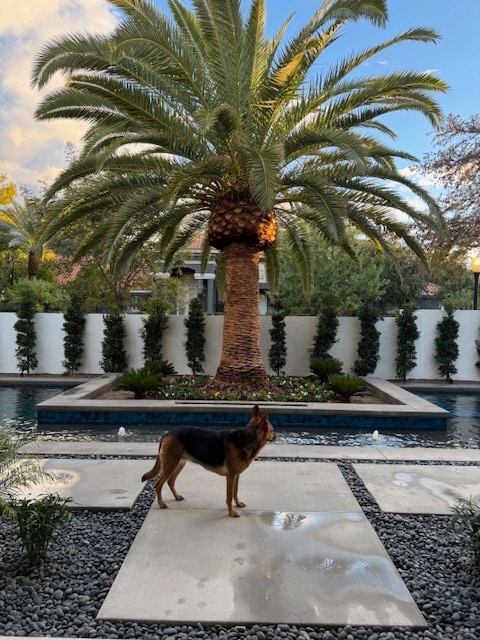 2362 Villandry Ct in Henderson, NV - Building Photo - Building Photo