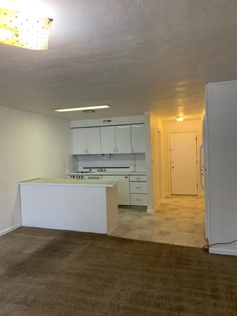 946 Oliver Ave, Unit 12