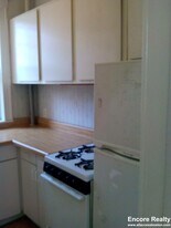 317 Allston St in Boston, MA - Building Photo