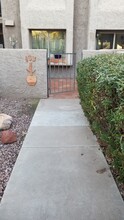 7405 N Vía Camello Del Norte in Scottsdale, AZ - Building Photo - Building Photo