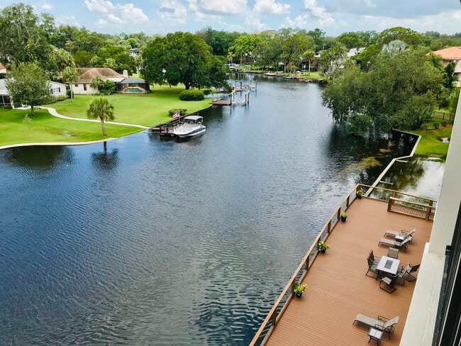 Stonehaven at Main Street in New Port Richey, FL - Building Photo - Building Photo