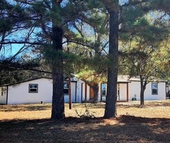 3434 FM 17 in Alba, TX - Building Photo