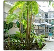 Falmouth Court Apartments in Playa Del Rey, CA - Building Photo - Building Photo