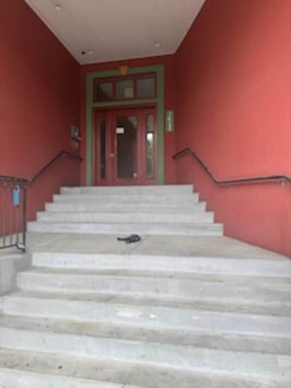 property at 2411 Brownsboro Rd