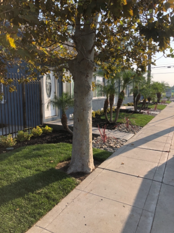 5 Carlton Way in Tracy, CA - Building Photo - Building Photo