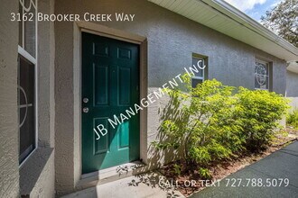 3162 Brooker Creek Way in Palm Harbor, FL - Building Photo - Building Photo