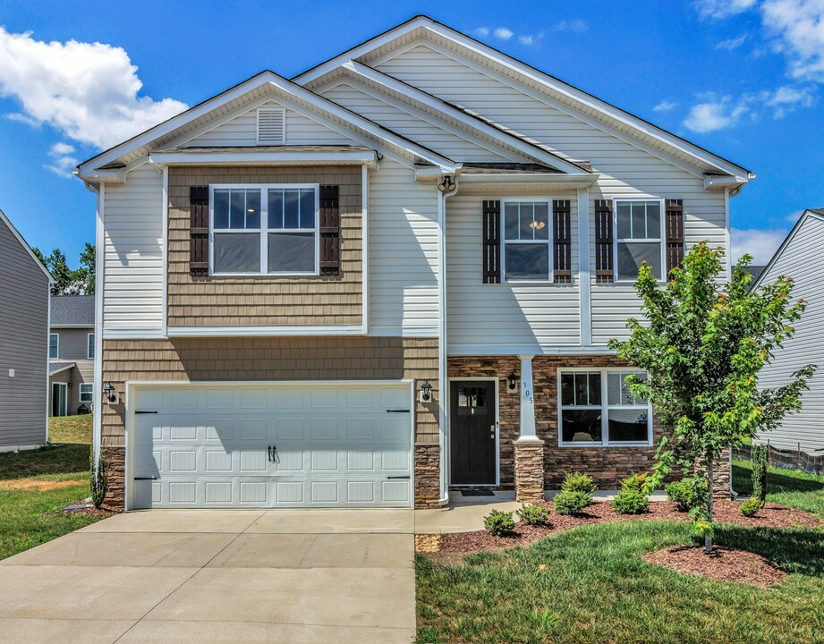 305 Woodnettle Ln in Arden, NC - Building Photo