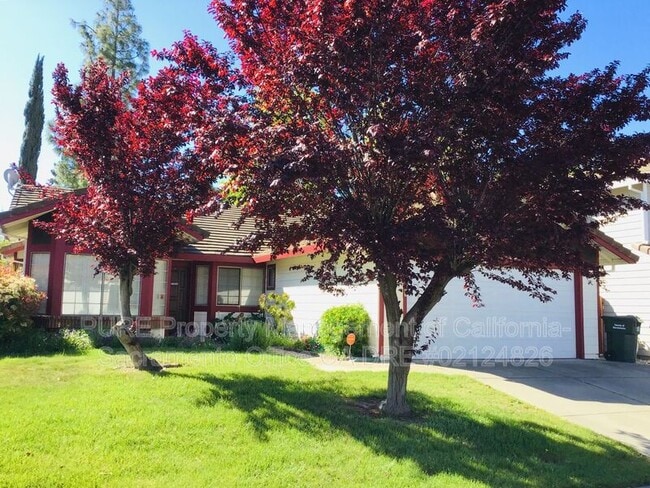 3228 Boulder Creek Way in Sacramento, CA - Building Photo - Building Photo