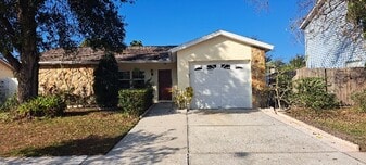 1006 Axlewood Cir in Brandon, FL - Building Photo