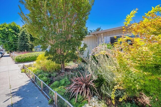 515 Cayuga St in Santa Cruz, CA - Building Photo - Building Photo