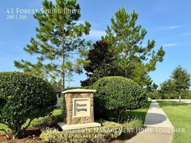 41 Forest Spring Dr in Nocatee, FL - Building Photo - Building Photo