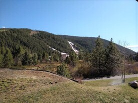 204 Ryan Gulch Rd in Keystone, CO - Building Photo