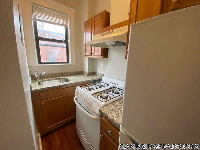 48 John F. Kennedy St in Cambridge, MA - Building Photo - Building Photo