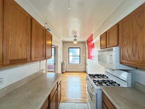 1167 N Dearborn St in Chicago, IL - Building Photo - Building Photo