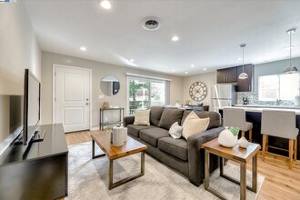 50 Casa Maria Ct in Alamo, CA - Building Photo - Building Photo