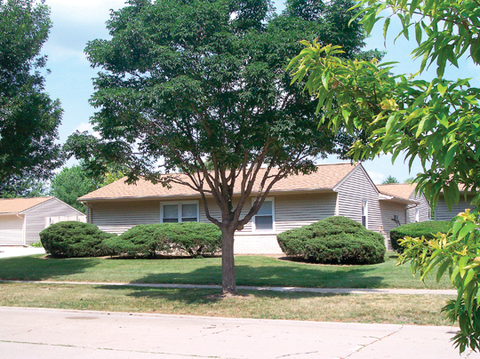 Windsor Duplexes Photo