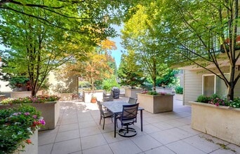 The Nelson Apartments in Seattle, WA - Foto de edificio - Interior Photo