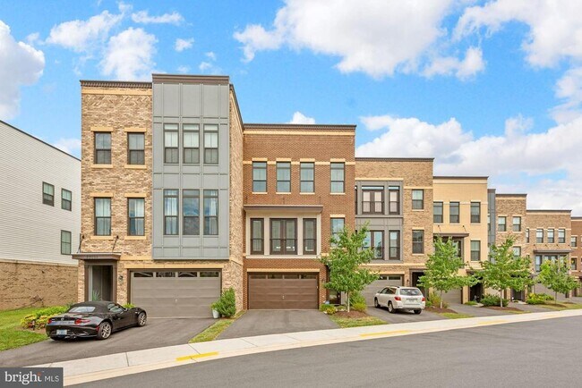 23094 Sullivans Cove Sq in Brambleton, VA - Building Photo - Building Photo
