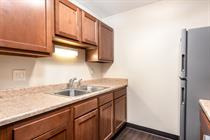 Birch Tree Apartments in Lansing, MI - Building Photo - Building Photo