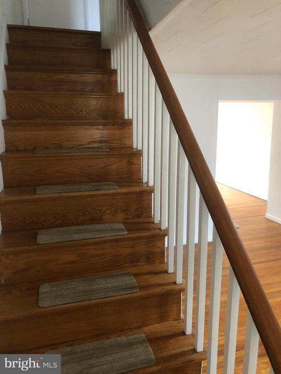 1230 Sycamore Ave in Wilmington, DE - Building Photo - Building Photo