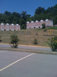 Vista View Apartments in Charleston, WV - Foto de edificio - Building Photo