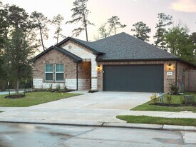 2010 Bluff Oak Ct in Conroe, TX - Building Photo