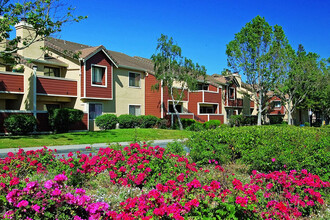 Belmont Apartment Homes in Pittsburg, CA - Foto de edificio - Building Photo