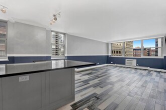253 E Delaware Pl in Chicago, IL - Foto de edificio - Building Photo