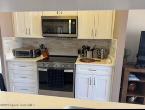 118 Beach Park Ln in Cape Canaveral, FL - Building Photo - Building Photo