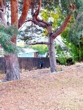 1560 10th St NE in East Wenatchee, WA - Building Photo - Building Photo