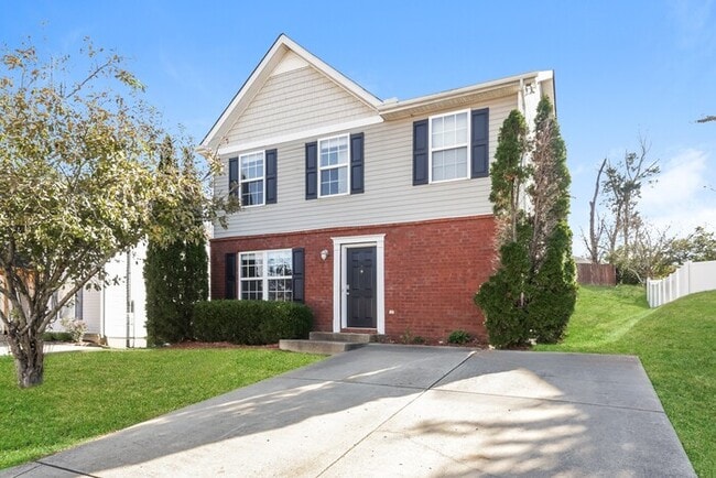 property at 7904 Rainey Dr