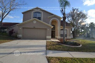 11224 Moonvalley Way in Tampa, FL - Building Photo