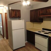 231 Lark St in Albany, NY - Building Photo