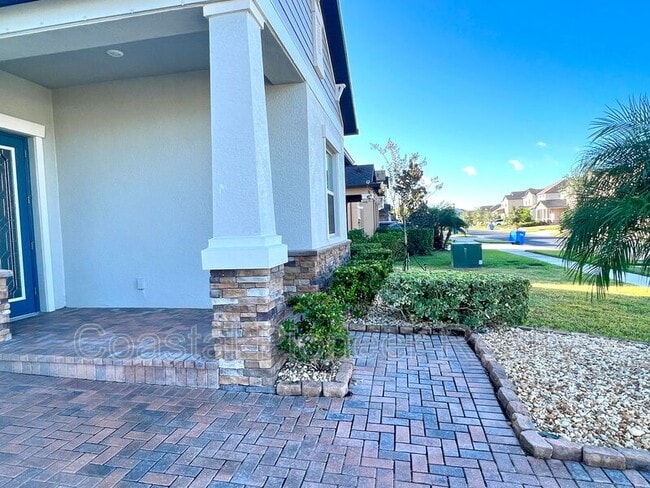 2781 Hilliard Dr in Wesley Chapel, FL - Building Photo - Building Photo