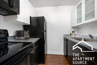 1111 N Dearborn St in Chicago, IL - Building Photo - Building Photo