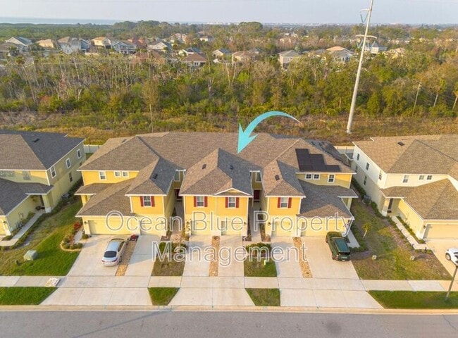 3019 Jacob Crossing Ln in Holiday, FL - Building Photo - Building Photo