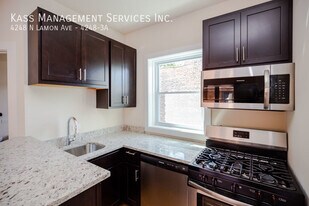 4248 N Lamon Ave in Chicago, IL - Building Photo
