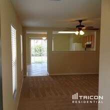 11016 Golden Silence Dr in Riverview, FL - Building Photo - Building Photo