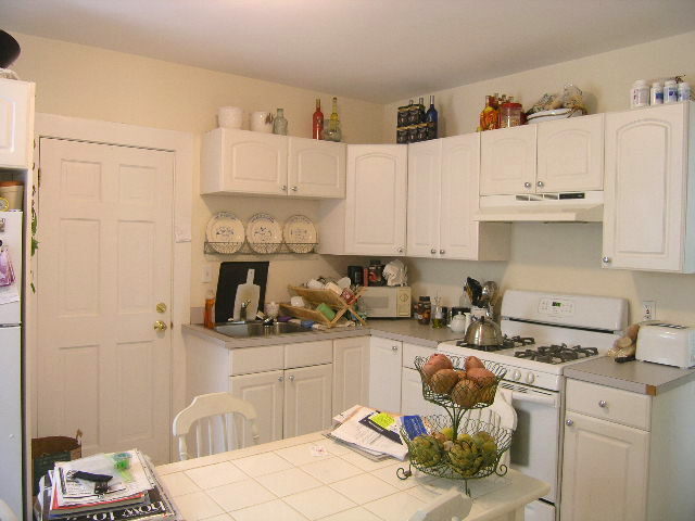 316 Conant Rd, Unit 1 in Weston, MA - Building Photo - Building Photo