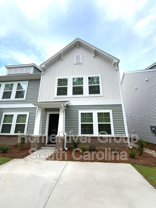 823 Coburg Ln in Lexington, SC - Building Photo