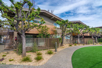 Element Apartments in Sunnyvale, CA - Foto de edificio - Building Photo