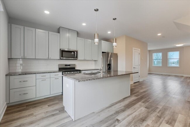 10607 Alice Mae Ct in Orland Park, IL - Building Photo - Building Photo