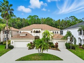 3453 Loggerhead Way in Wesley Chapel, FL - Building Photo